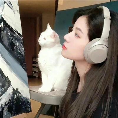 红衣主教 海报